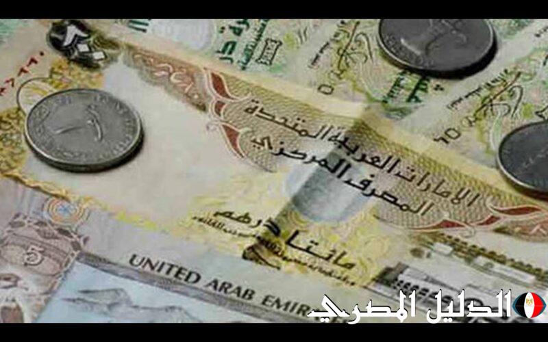 اعرف سعر الدرهم الإماراتي في السوق السوداء اليوم الخميس 29 / 2 / 2024 والبنوك