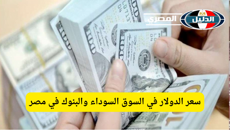 ‘‘ الأخضر بيفوق ‘‘ سعر الدولار في السوق السوداء والبنوك في مصر اليوم الأربعاء 28 فبراير 2024