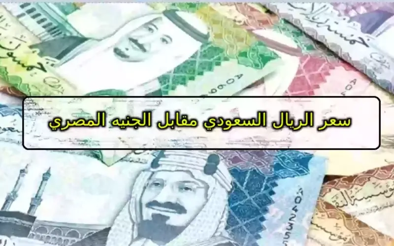 “السعودى بكام” سعر الريال السعودي اليوم في السوق السوداء وجميع البنوك المصريه الخميس 7 مارس 2024