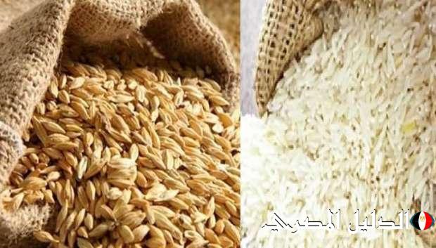 لحظة بلحظة .. سعر طن الأرز الشعير اليوم الجمعة 8 مارس 2024 في جميع الأسواق