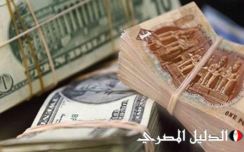 ‘‘ الجنيه وقع كله ‘‘ اسعار العملات في السوق السوداء اليوم 3 / 3 / 2024 في ختام التعاملات