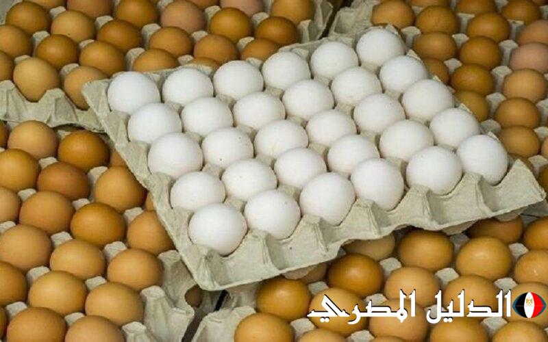 ‘‘ الاحمر بكام النهارده ‘‘ سعر البيض اليوم الأربعاء 6 / 3 / 2024 في المزرعة والمحلات التجارية