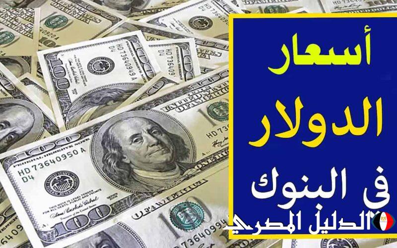 ‘‘ الجنيه صاحي علي الأمريكي ‘‘ سعر الدولار في السوق السوداء في مصر اليوم الأثنين 4 / 3 / 2024 والبنوك الرسمية