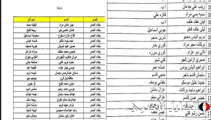 molsa.gov.iq: أسماء المشمولين بالرعاية الاجتماعية 2024 الوجبة الاخيرة والسابعة عبر موقع وزارة العمل