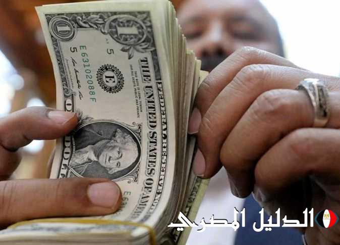 عكس المتوقع.. سعر الدولار اليوم الثلاثاء في مصر 29-10-2024 بالبنوك والسوق السوداء