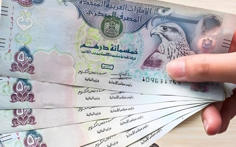 سعر الدرهم الإماراتي أمام الجنيه المصري في البنوك اليوم الثلاثاء