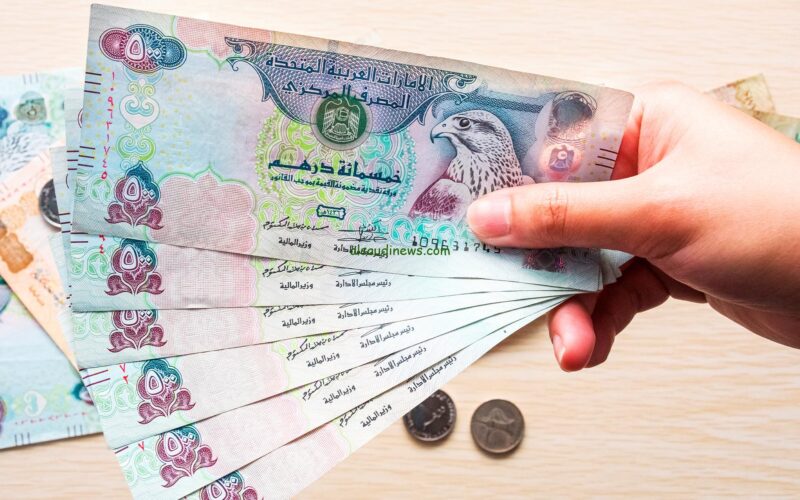 سعر الدرهم الإماراتي أمام الجنيه المصري في البنوك اليوم الأربعاء 18 ديسمبر 2024