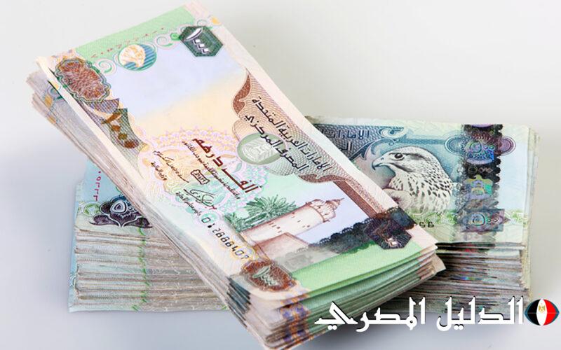 سعر الدرهم الإماراتي أمام الجنيه المصري في البنوك اليوم الخميس 26 ديسمبر 2024