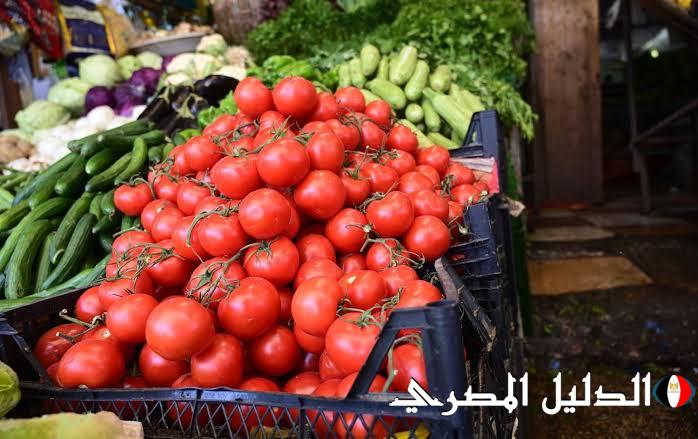 خبير اقتصادي يكشف كيف نحقق الاكتفاء الذاتي من المنتجات الزراعية| خاص